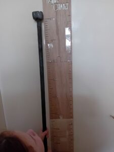 Custom made Coach Bolts