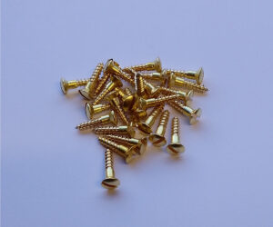Trade Grade Slotted Brass Wood Screws Raised Head